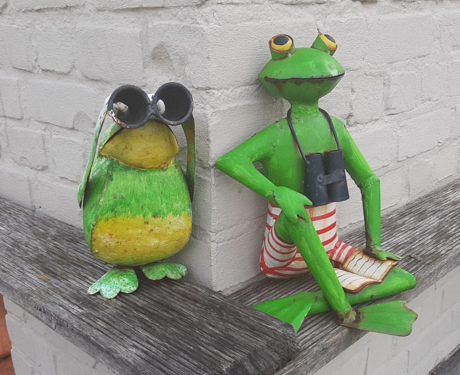 Wetterfrösche